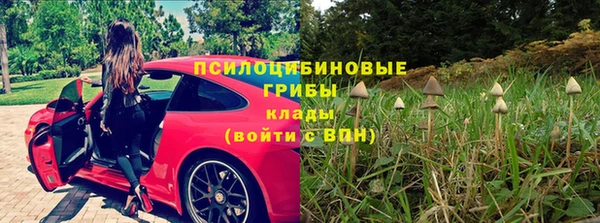 МДПВ Липки
