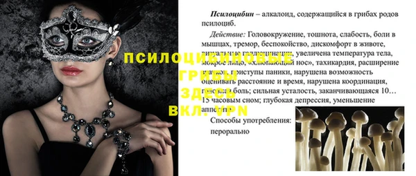 молекула духа Алексин