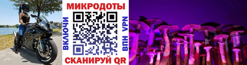 площадка Telegram  Тихвин  Псилоцибиновые грибы Magic Shrooms  купить  